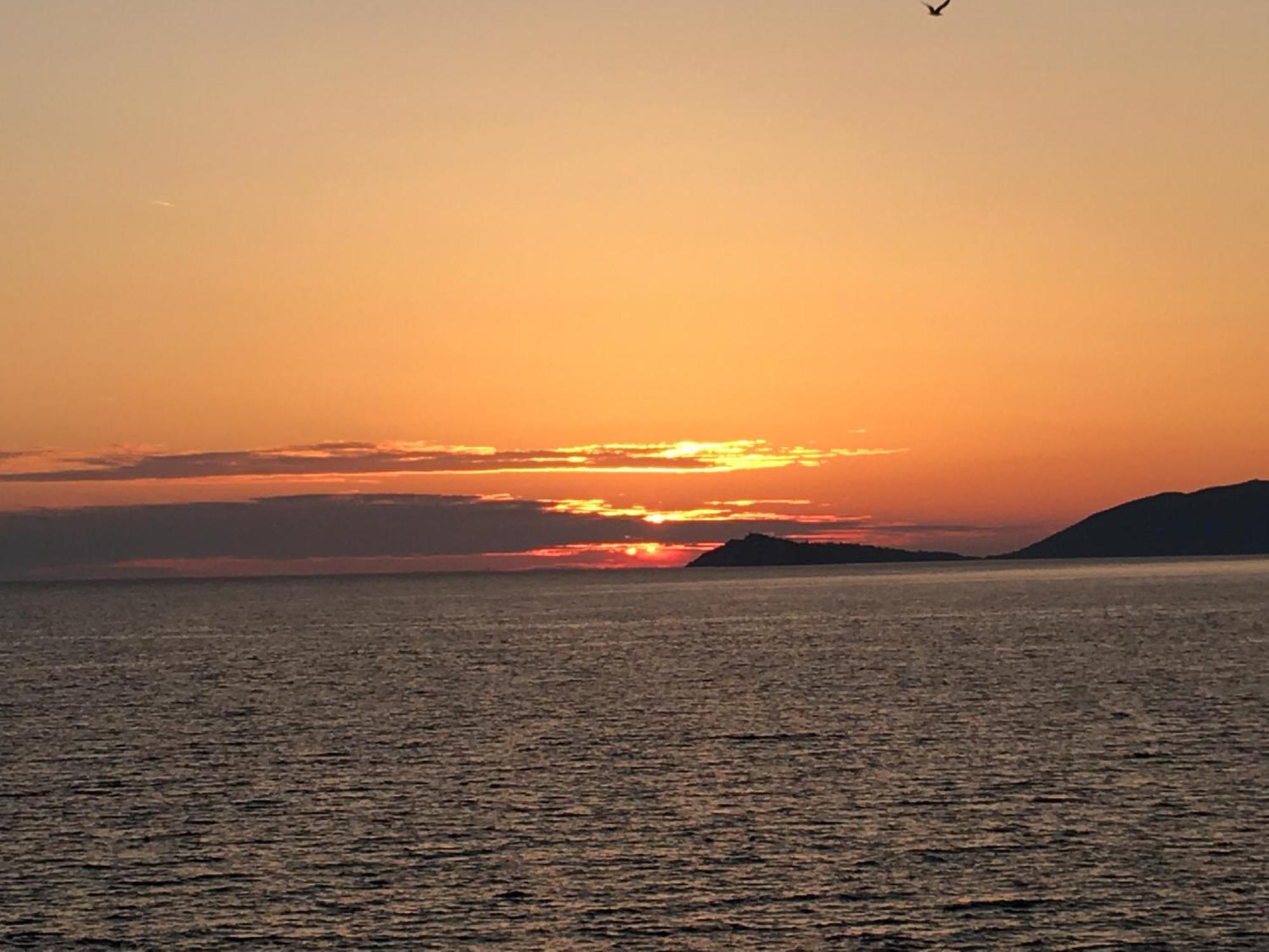 Villa Ariel Luštica Eksteriør billede
